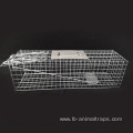 Chipmunks Cage Traps 2.0mm Wire Diameter Stainless